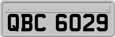 QBC6029