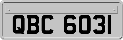 QBC6031