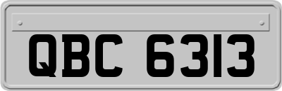 QBC6313