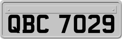 QBC7029