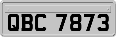 QBC7873