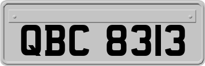 QBC8313
