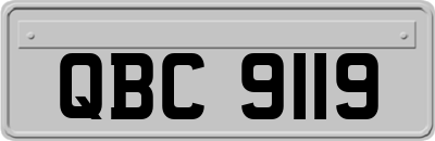 QBC9119