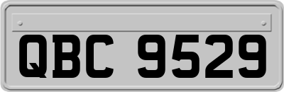 QBC9529