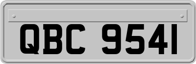 QBC9541