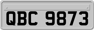 QBC9873