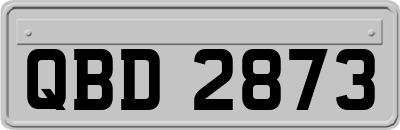QBD2873