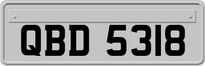 QBD5318
