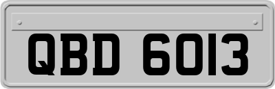 QBD6013