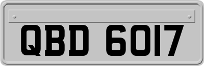 QBD6017