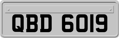 QBD6019