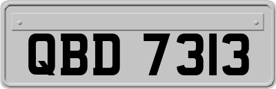 QBD7313