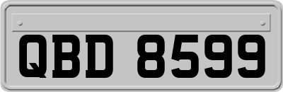 QBD8599