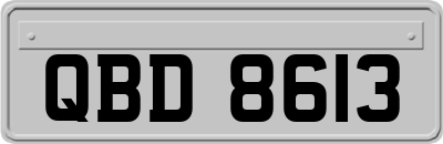 QBD8613