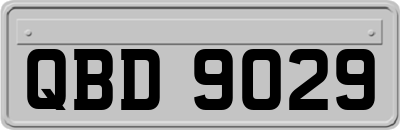 QBD9029