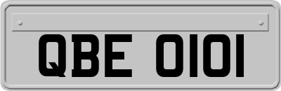 QBE0101