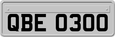 QBE0300