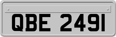 QBE2491