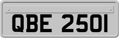 QBE2501