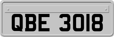 QBE3018