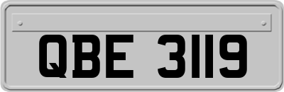 QBE3119