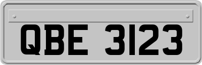 QBE3123