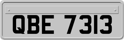 QBE7313