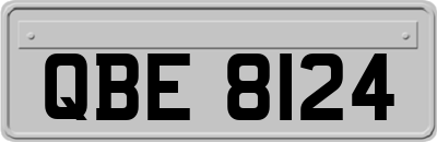 QBE8124