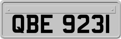 QBE9231