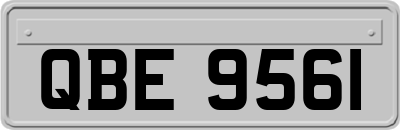 QBE9561