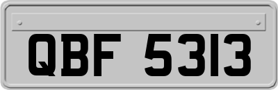QBF5313