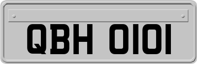 QBH0101
