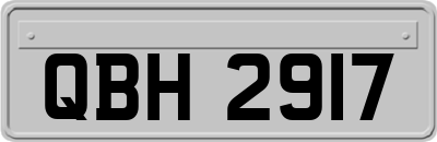 QBH2917