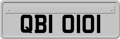 QBI0101