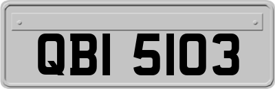 QBI5103