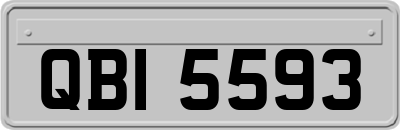 QBI5593