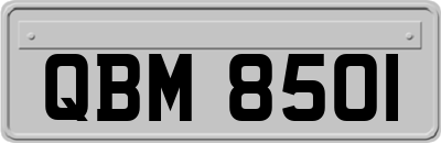 QBM8501