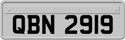 QBN2919