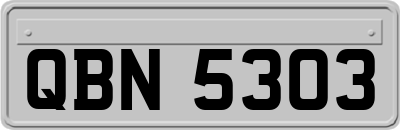 QBN5303