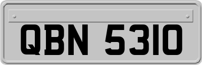 QBN5310