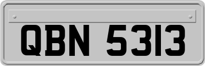 QBN5313