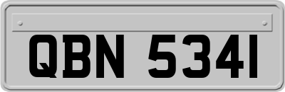 QBN5341