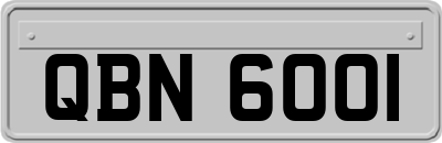 QBN6001