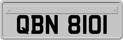 QBN8101