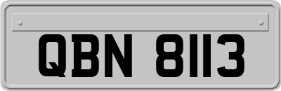QBN8113