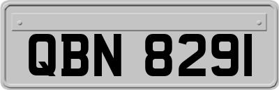 QBN8291