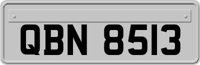 QBN8513