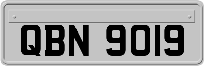 QBN9019