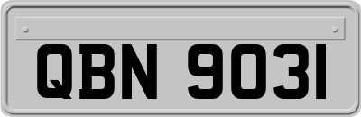 QBN9031