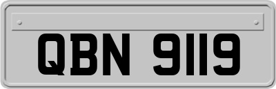 QBN9119